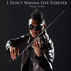 I Don't Wanna Live Forever Song Lyrics