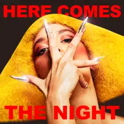 Here Comes The Night - Single by Agnes album reviews, ratings, credits