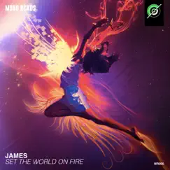 Set the World On Fire - Single by James album reviews, ratings, credits