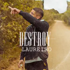 Destroy - Single by Laureiro album reviews, ratings, credits