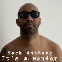 It’s a Wonder - Single by Mark Anthony album reviews, ratings, credits