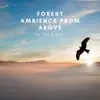 Forest Ambience From Above For Day & Night - Single album lyrics, reviews, download