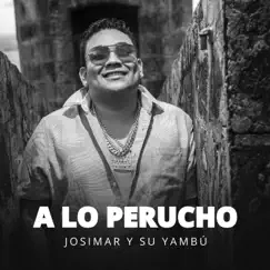 Amar y Querer Song Lyrics