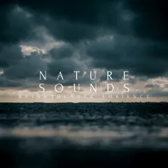 Nature Sounds Rain & Thunder Ambience - Single by Natural Sounds Selections & Nature Sound Collection album reviews, ratings, credits