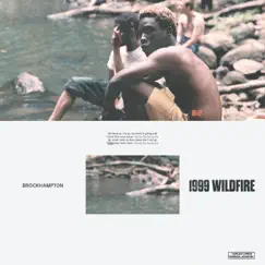 1999 WILDFIRE - Single by BROCKHAMPTON album reviews, ratings, credits
