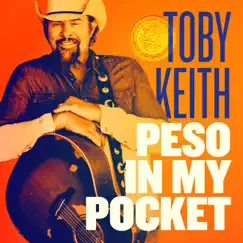 Peso in My Pocket by Toby Keith album reviews, ratings, credits