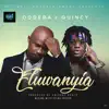 Eluwanyia (feat. Quincy) - Single album lyrics, reviews, download