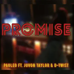 Promise (feat. Juvon Taylor & D-Twist) - Single by Pauleo album reviews, ratings, credits