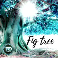 Fig Tree Song Lyrics