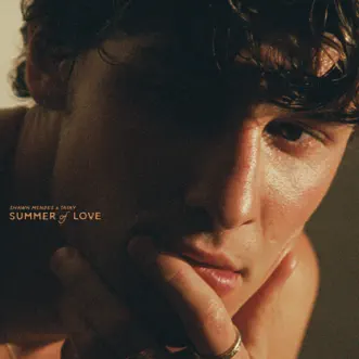 Summer Of Love - Single by Shawn Mendes & Tainy album download