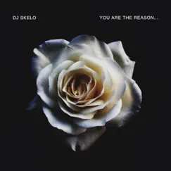 You Are the Reason... Song Lyrics