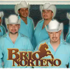 Marcando el Paso by Conjunto Brio Norteño album reviews, ratings, credits