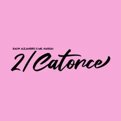 2/Catorce - Single by Rauw Alejandro & Mr. Naisgai album reviews, ratings, credits