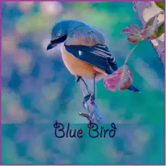 Blue Bird - Single by Lana Tele album reviews, ratings, credits
