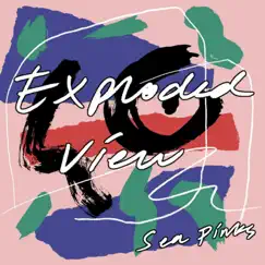An Exploded View - Single by Sea Pinks album reviews, ratings, credits