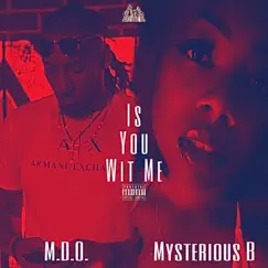 Is You Wit Me (feat. Mysterious B) - Single by M.D.O. album reviews, ratings, credits