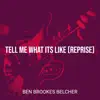 Tell Me What Its Like (Reprise) - Single album lyrics, reviews, download