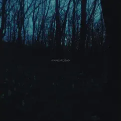 Wakeupdead - Single by Cøzybøy, Imsoproudofyou & Zaini album reviews, ratings, credits