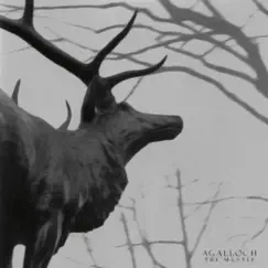 The Mantle by Agalloch album reviews, ratings, credits