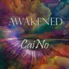 Awakened album lyrics, reviews, download