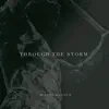 Through the Storm - Single album lyrics, reviews, download