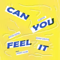 Can You Feel It (feat. James Hurr) Song Lyrics
