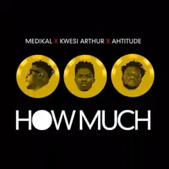How Much (feat. Ahtitude & Kwesi Arthur) - Single by Medikal album reviews, ratings, credits
