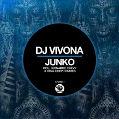 Junko - Single by DJ Vivona album reviews, ratings, credits
