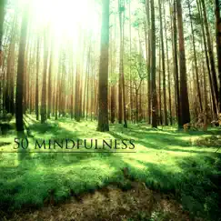Mindfulness Retreat Song Lyrics