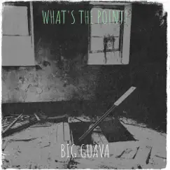 What's the Point? - Single by Big Guava album reviews, ratings, credits