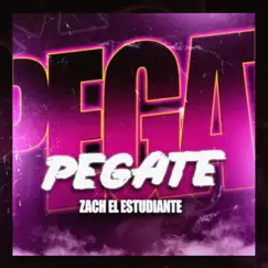 Pegate Song Lyrics