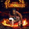 Flammable - Single album lyrics, reviews, download