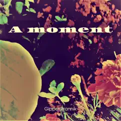 A Moment by GipperStrannik album reviews, ratings, credits