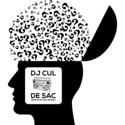 Who is DJ Cul de Sac? Song Lyrics