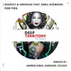 For You (feat. Erbil Dzemoski) - EP album lyrics, reviews, download