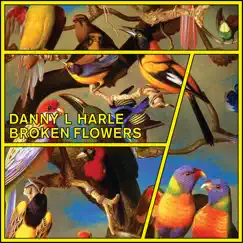 Broken Flowers - EP by Danny L Harle album reviews, ratings, credits