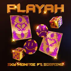 Playah (feat. Sobrino) - Single by Sky Monroe album reviews, ratings, credits