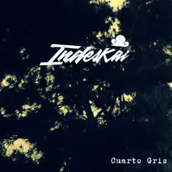 Cuarto Gris - Single by Indeskai album reviews, ratings, credits