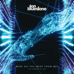 What Do You Want from Me? (feat. Giuseppe De Luca) [Extended Mix] Song Lyrics