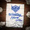 Wanting More (feat. Mereness) - Single album lyrics, reviews, download