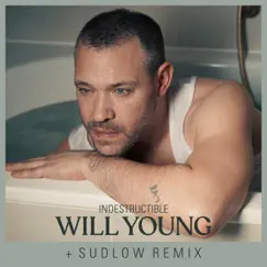 Indestructible (Sudlow Remix) - Single by Will Young album reviews, ratings, credits