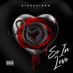 So in Love - Single by Richkiddo album reviews, ratings, credits