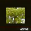 Aspire - Single album lyrics, reviews, download