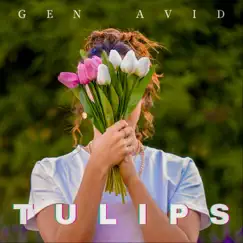 Tulips Song Lyrics