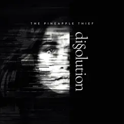 Dissolution by The Pineapple Thief album reviews, ratings, credits