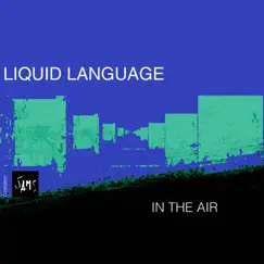 In the Air - Single by Liquid Language album reviews, ratings, credits