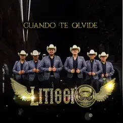 Huapangos mexicanos - Single by Grupo Litiggio album reviews, ratings, credits