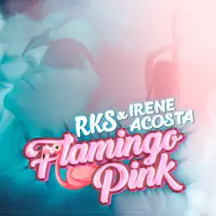 Flamingo Pink Song Lyrics