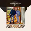 Fuga Planejada - Single album lyrics, reviews, download