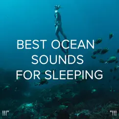 Peaceful Ocean Song Lyrics